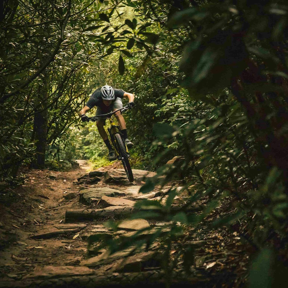Riding the Santa Cruz Tallboy through a rock garden surrounded by trees