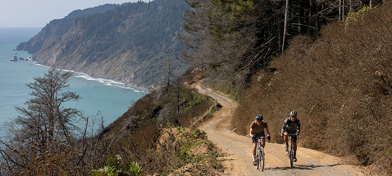 Bicycle Registration Info Received