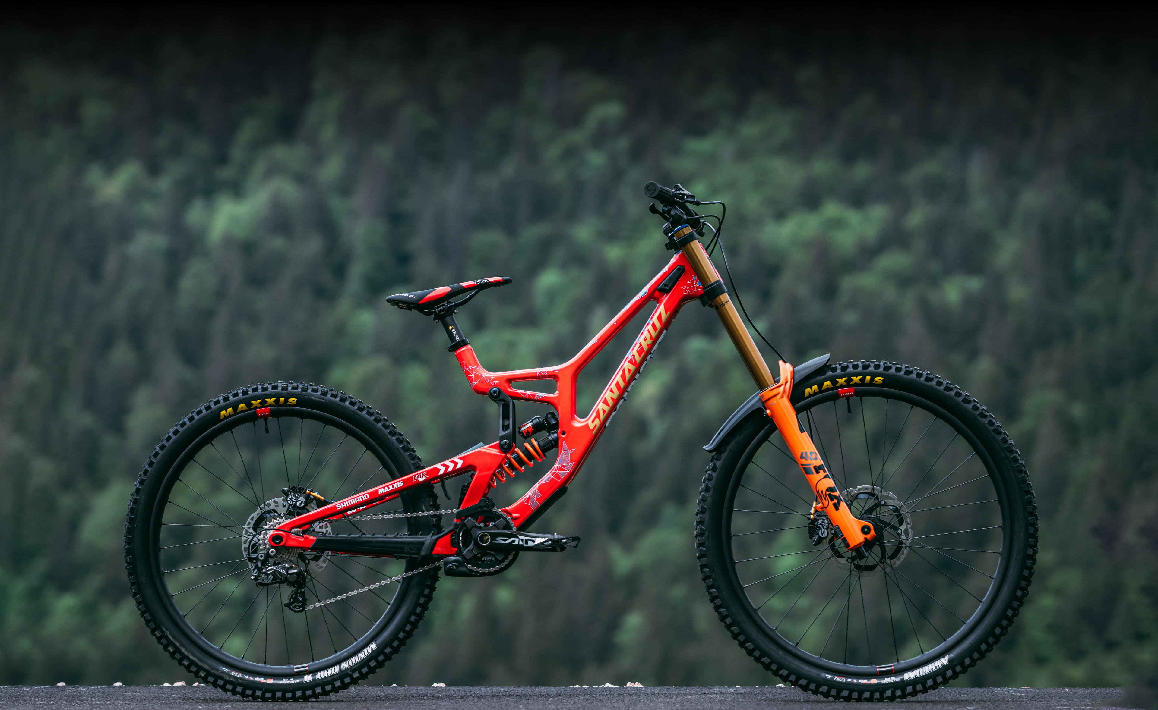 Santa cruz hot sale downhill team