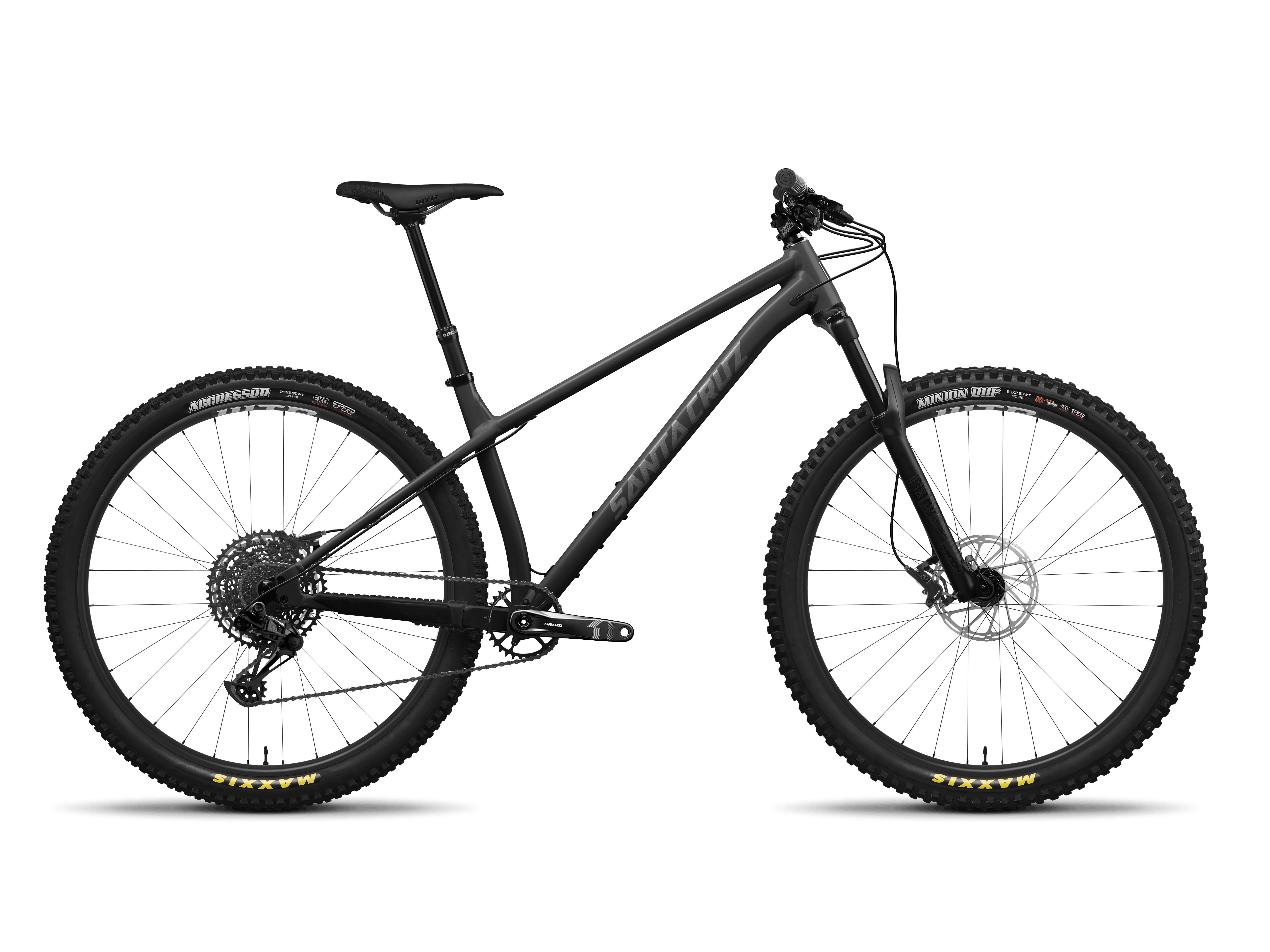 Santa cruz online chameleon medium