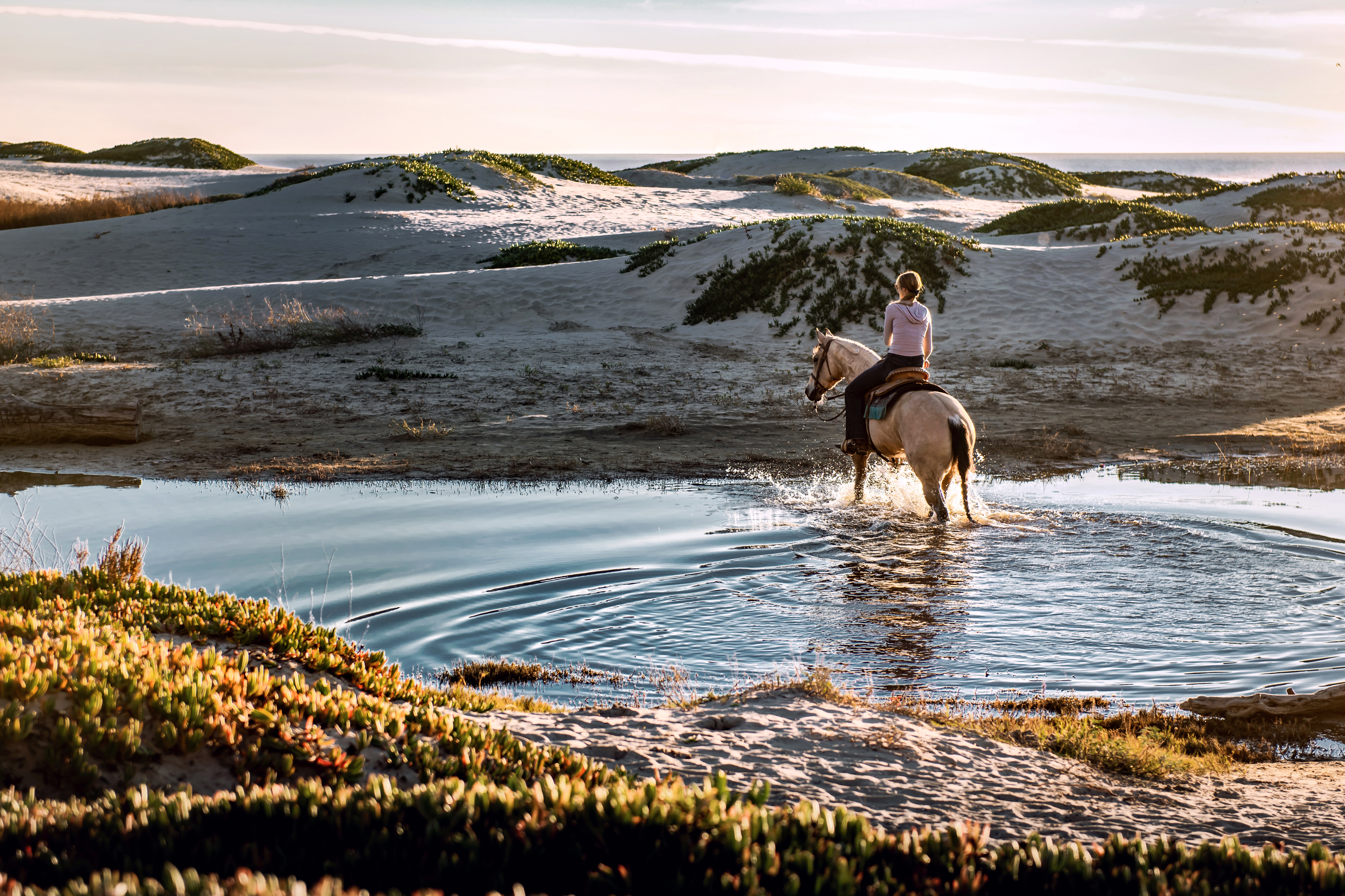 Horseback Riding | Adventure | Sar-El Adventures