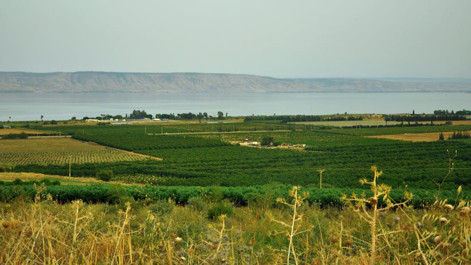 Agricultural settlement Sea of Galilee