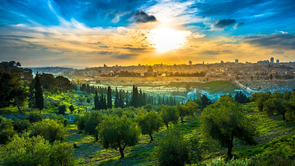 View of the Old City Jerusalem from the Mount of Olives with olive trees in the foreground