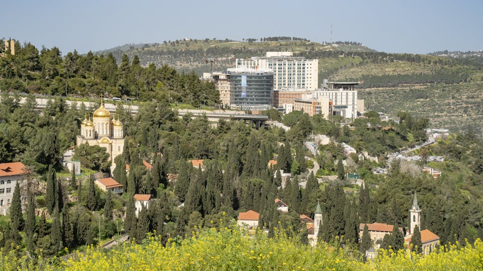 A landscape of Ein Karem neighborhood, Jerusalem, including Hadassah hospital and a few churches.