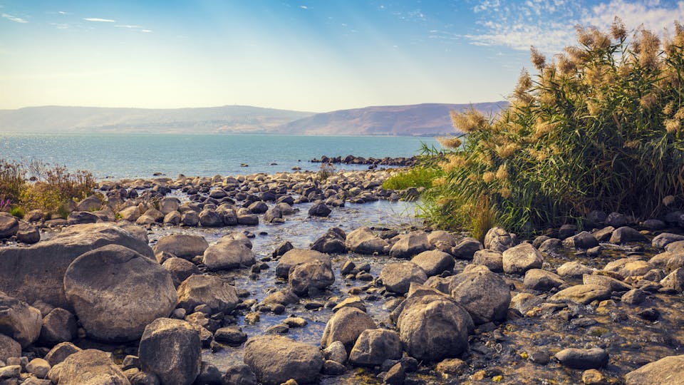 The coast of the Sea of Galilee near Ein Eyov Waterfall in Tabgha, Israel