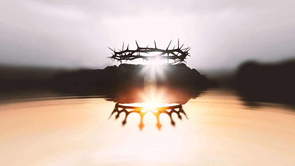 The inversion of the crown of thorns and the crown, which symbolizes Jesus' suffering and trials
