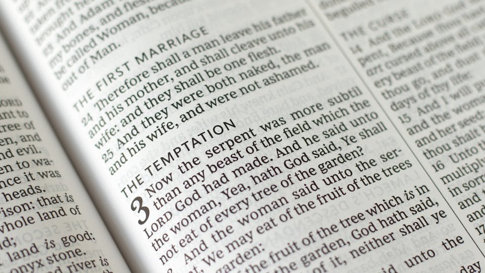 A picture of the Bible in Genesis chapter 3