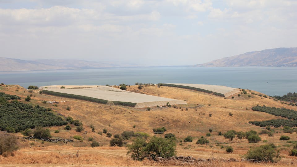 Field over the Sea of Galilee in Israel