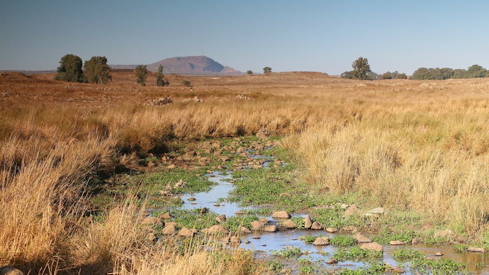 Dry river in Israel