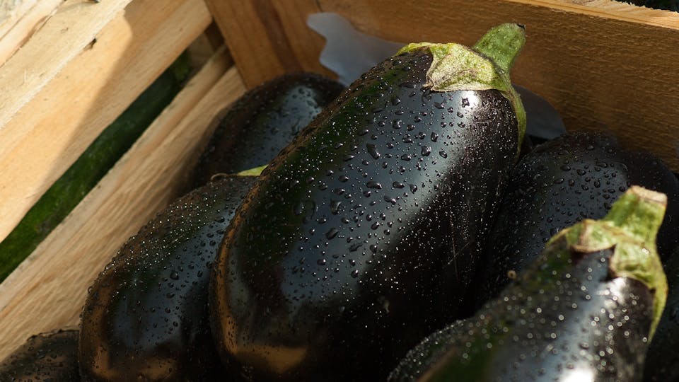 Eggplant for sabich