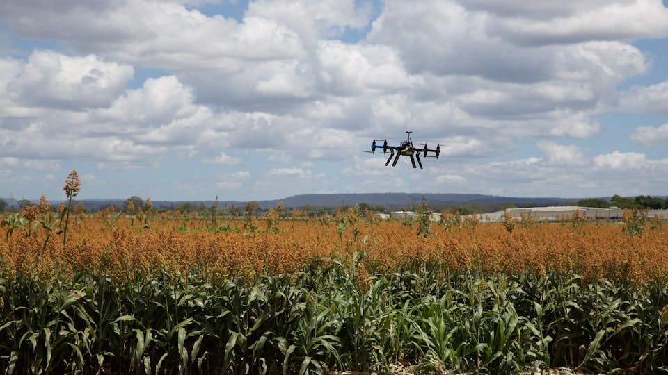 Drone over field in Israel - agritech