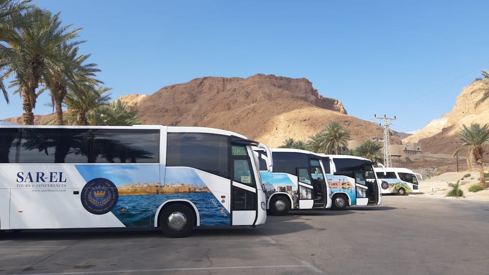 Sar-El Tours Buses