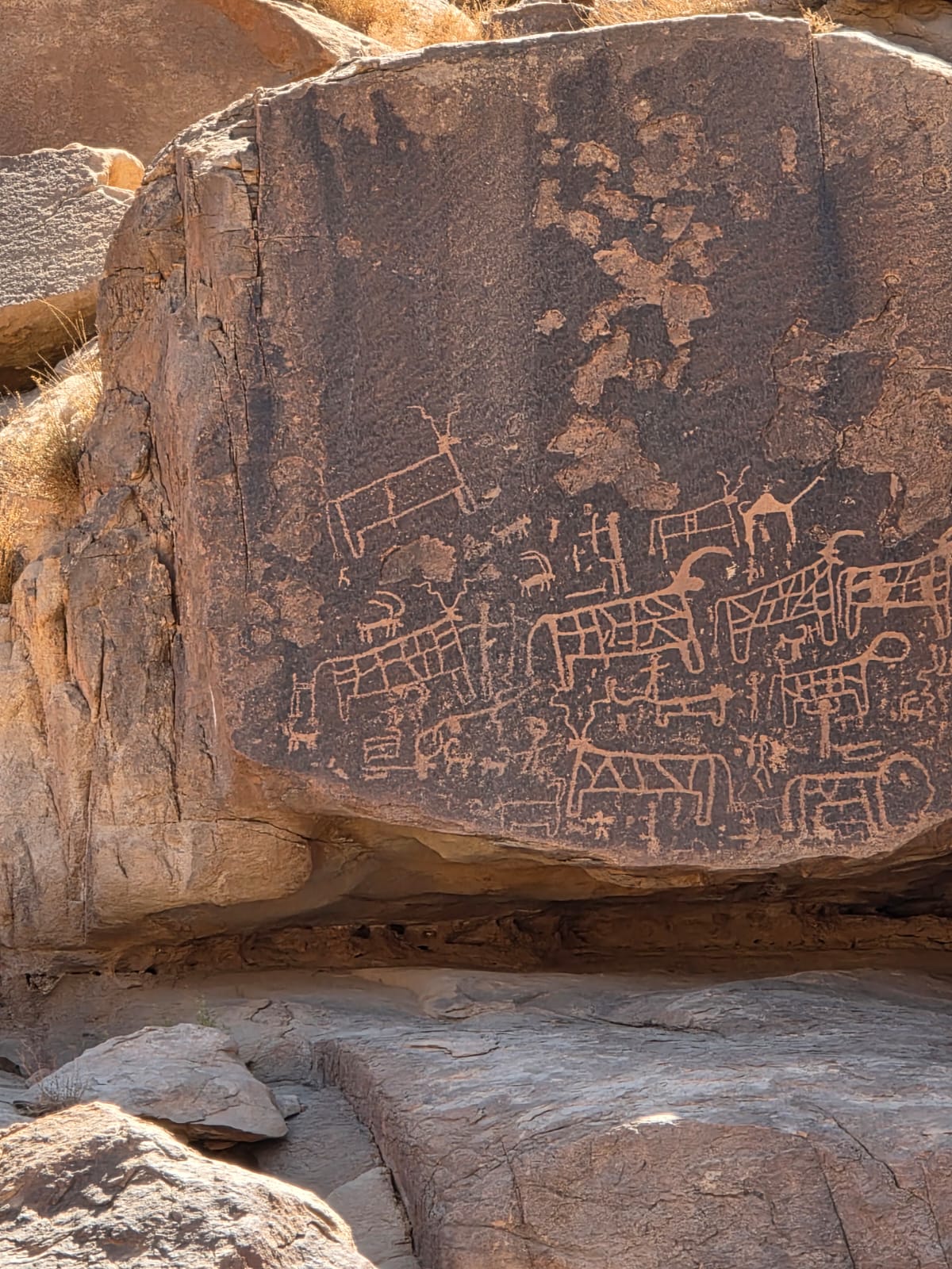 Carvings of cows and bulls