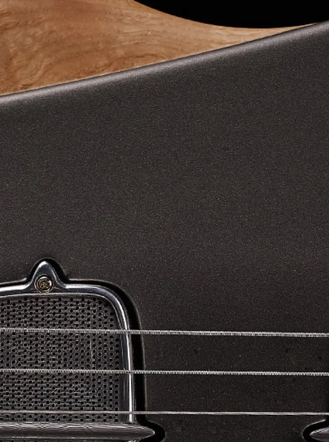 pickup on the One piece master I guitar