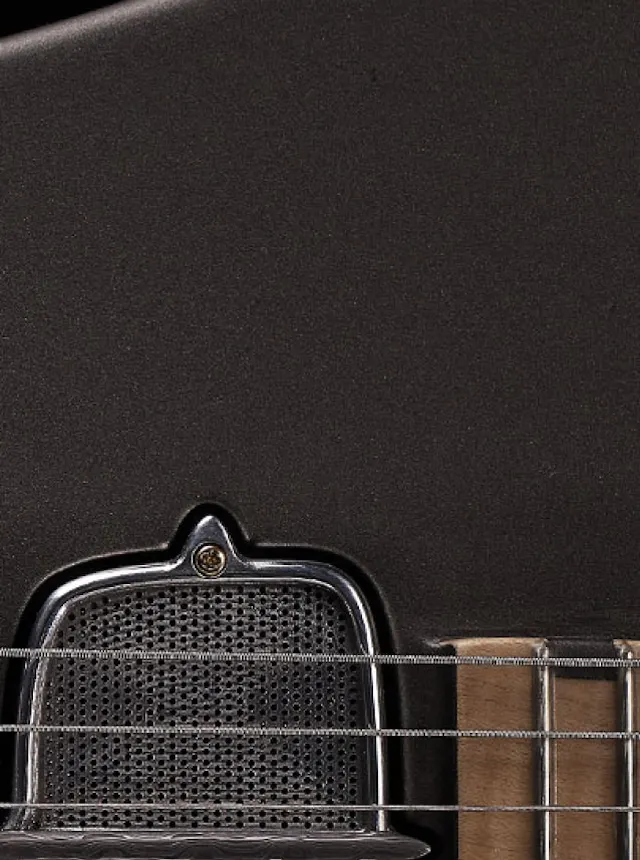 pickup and neck on the One piece master I guitar