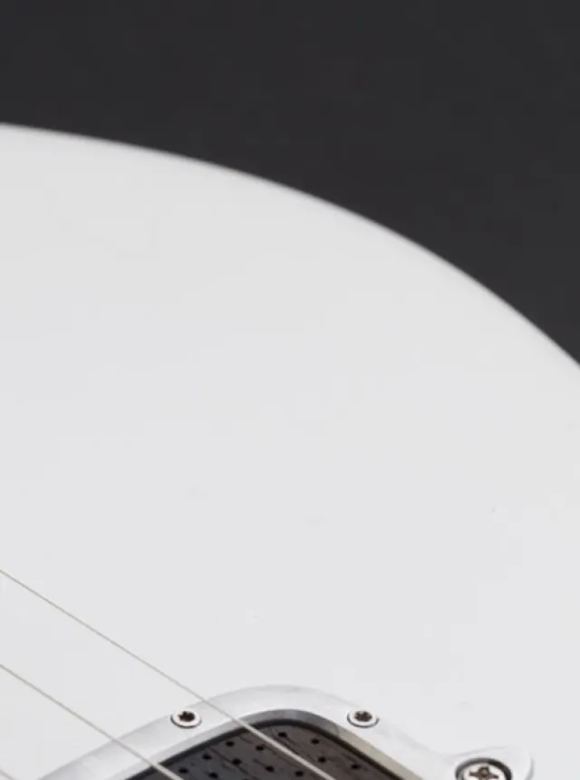 body part on the One piece master II guitar