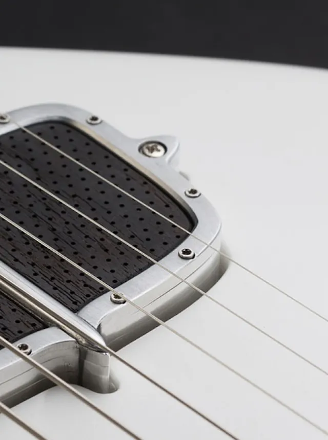 pickup part on the One piece master II guitar