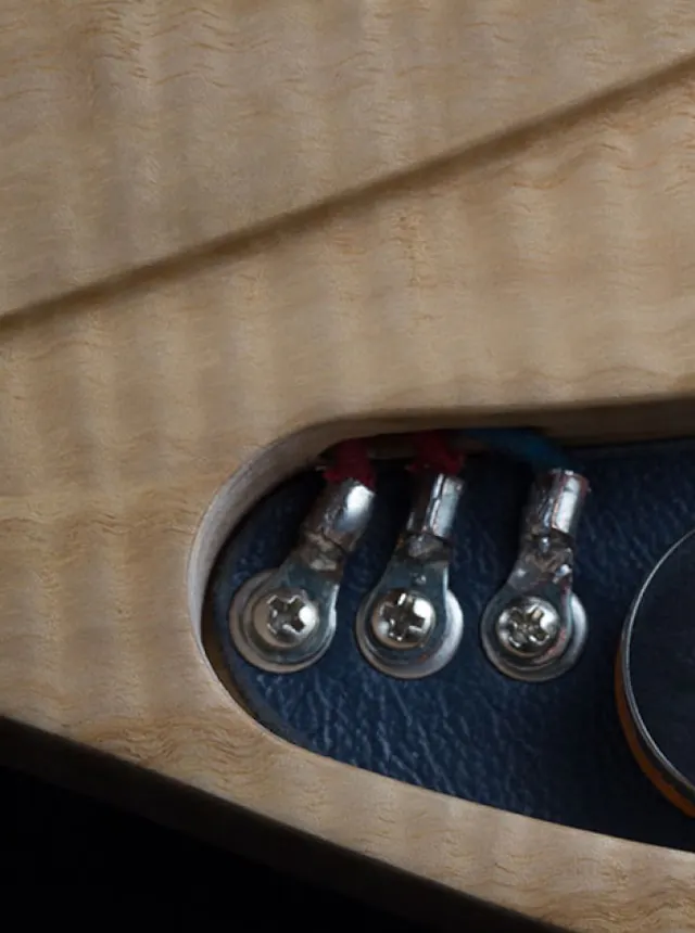 electronics on the One piece master III guitar