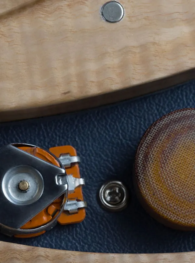 electronics on the One piece master III guitar