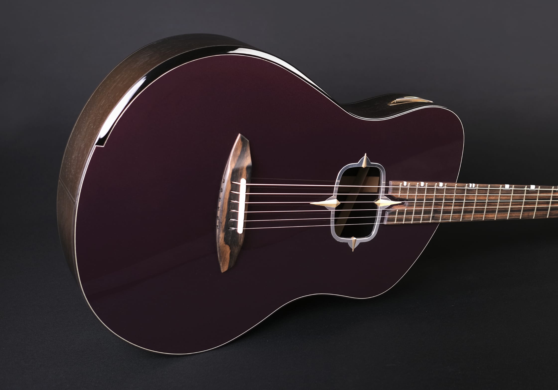 Sauvage tr3ptych acoustic guitar
