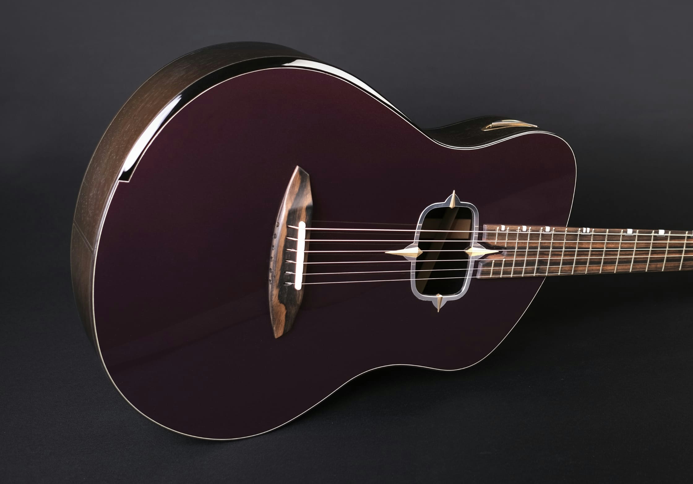 Sauvage tr3ptych acoustic guitar