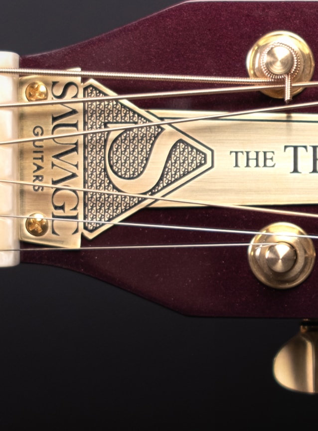 Sauvage Tr3ptych Acoustic guitar headstock part