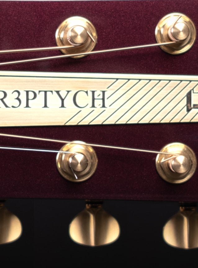 Sauvage Tr3ptych Acoustic guitar headstock part