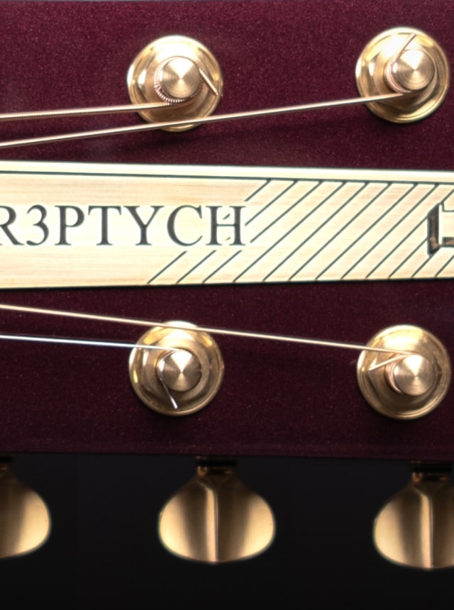 Sauvage Tr3ptych Acoustic guitar headstock part