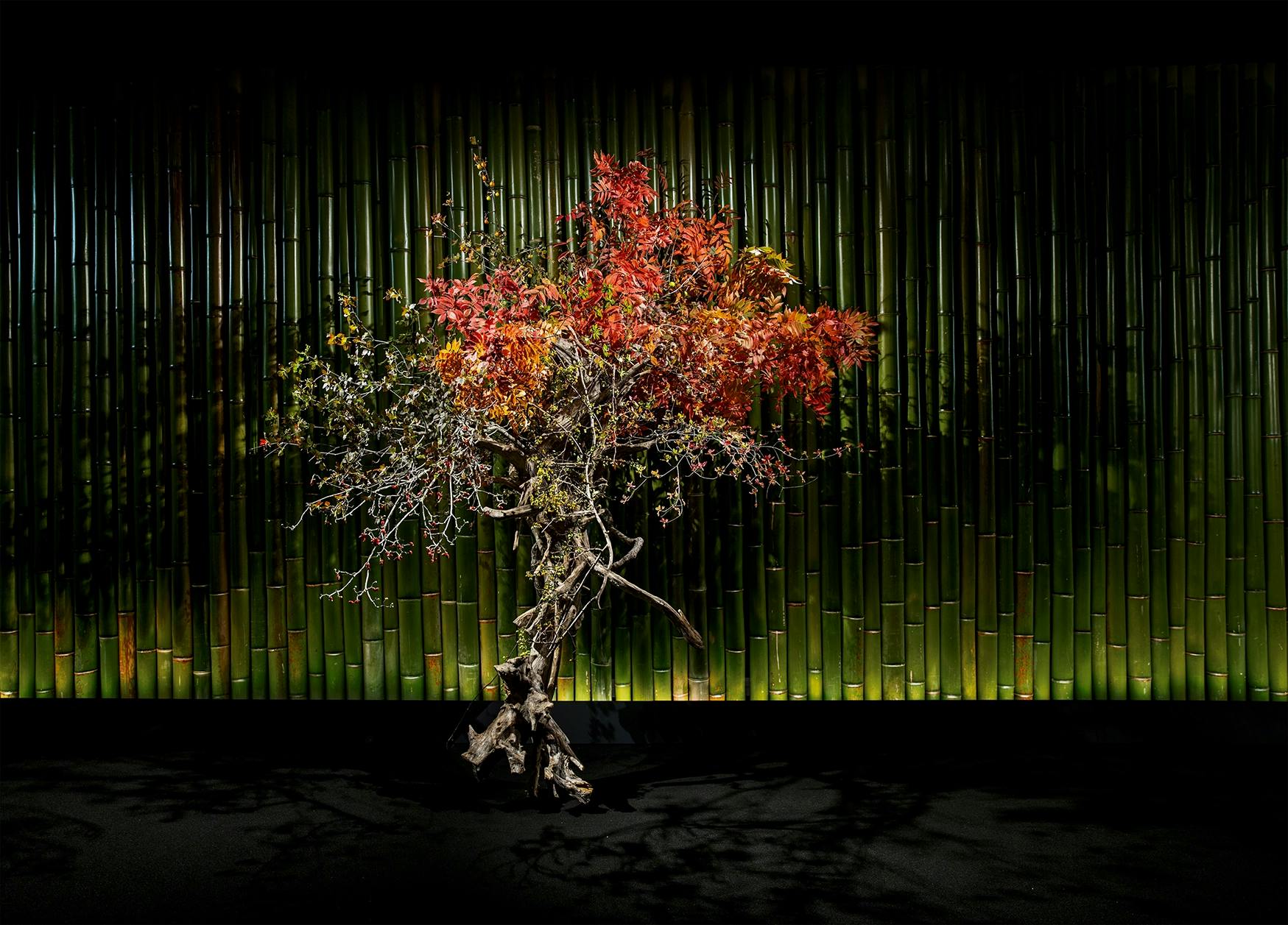 The above images are from Yuki Tsuji's Ikebana installations for Cartier | Images courtesy of Yuki Tsuji
