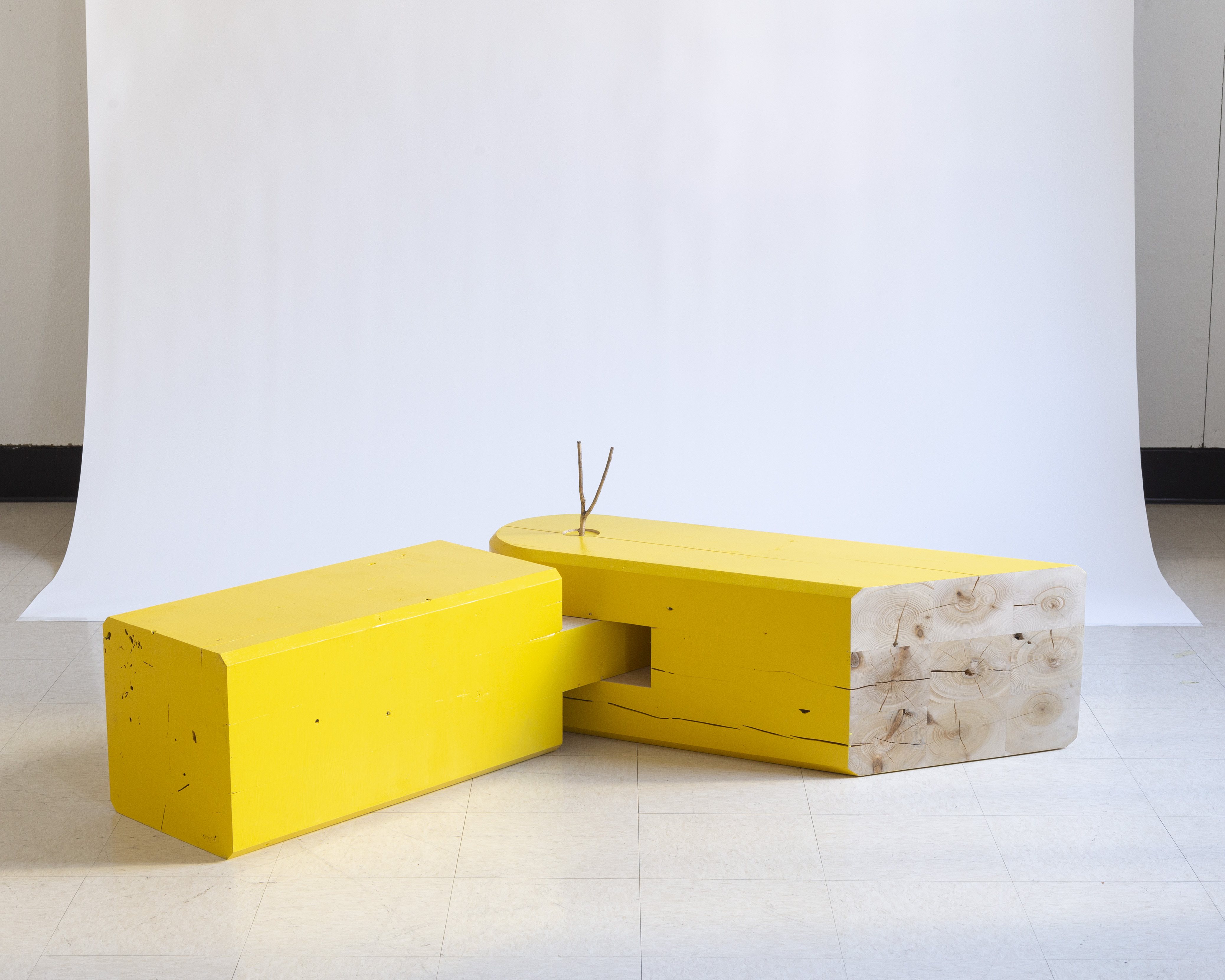 Yellow Bench by Theju Nimmagadda