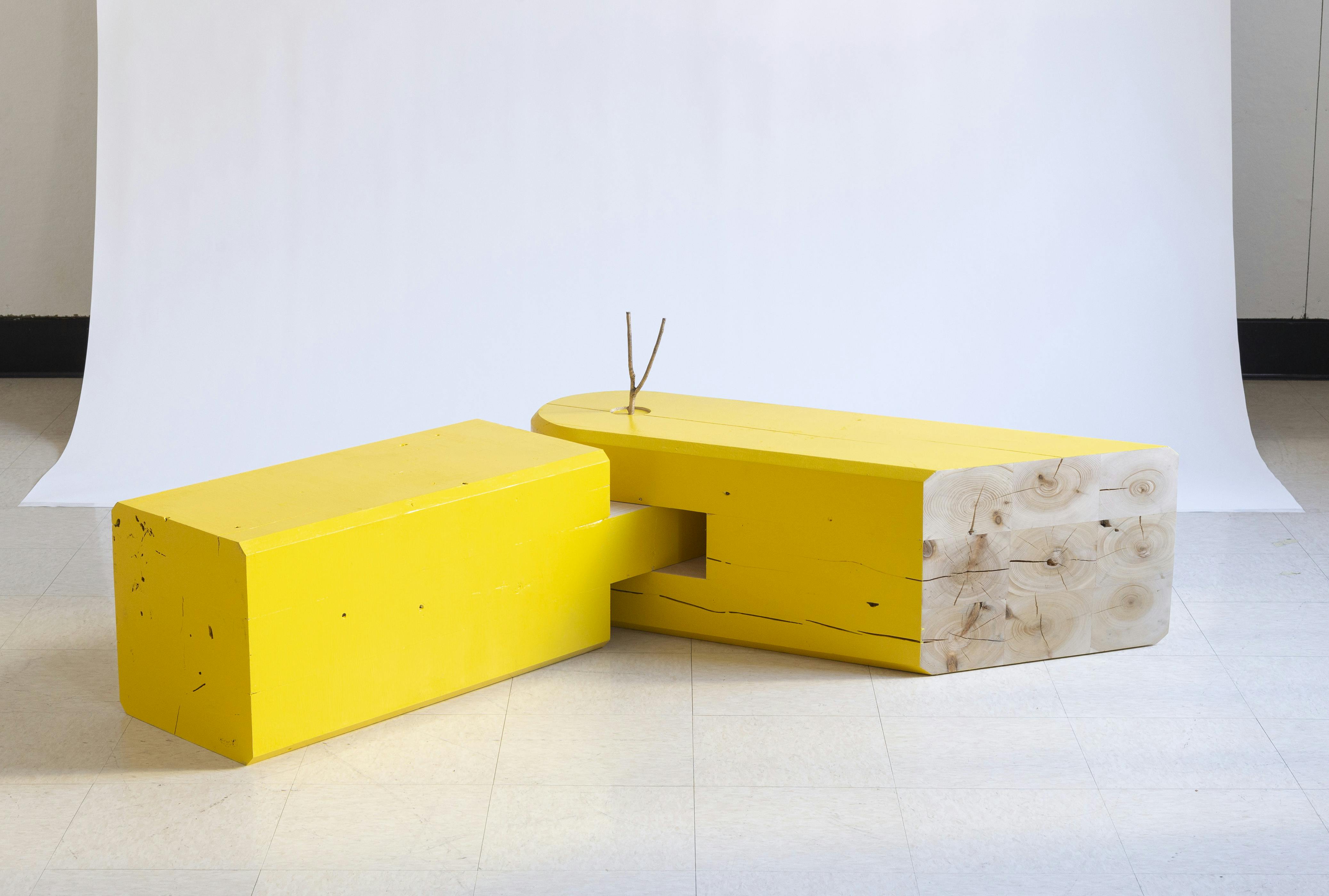 Yellow Bench by Theju Nimmagadda