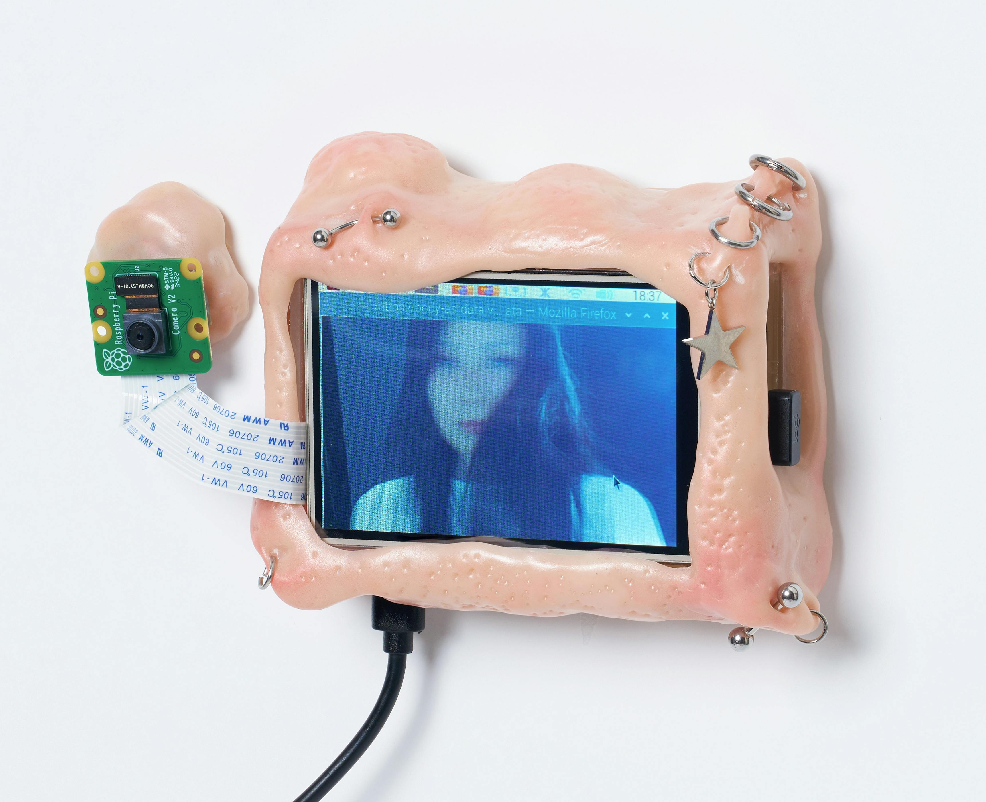 Body as Data combines sculptural masses resembling human flesh with integrated mini-computers and an attached camera. In this work, when a photo is taken through a web interface powered by coding, the result is not a traditional image, but a display of the photograph’s raw data. The piece explores the tension between the physical presence of the body—its mass, weight, and dimensionality—and the flatness and lightness of the self as it exists in digital form. Kaya’s work questions the nature of identity on screen, emphasizing the contrast between the tangible body and its existence as data.
