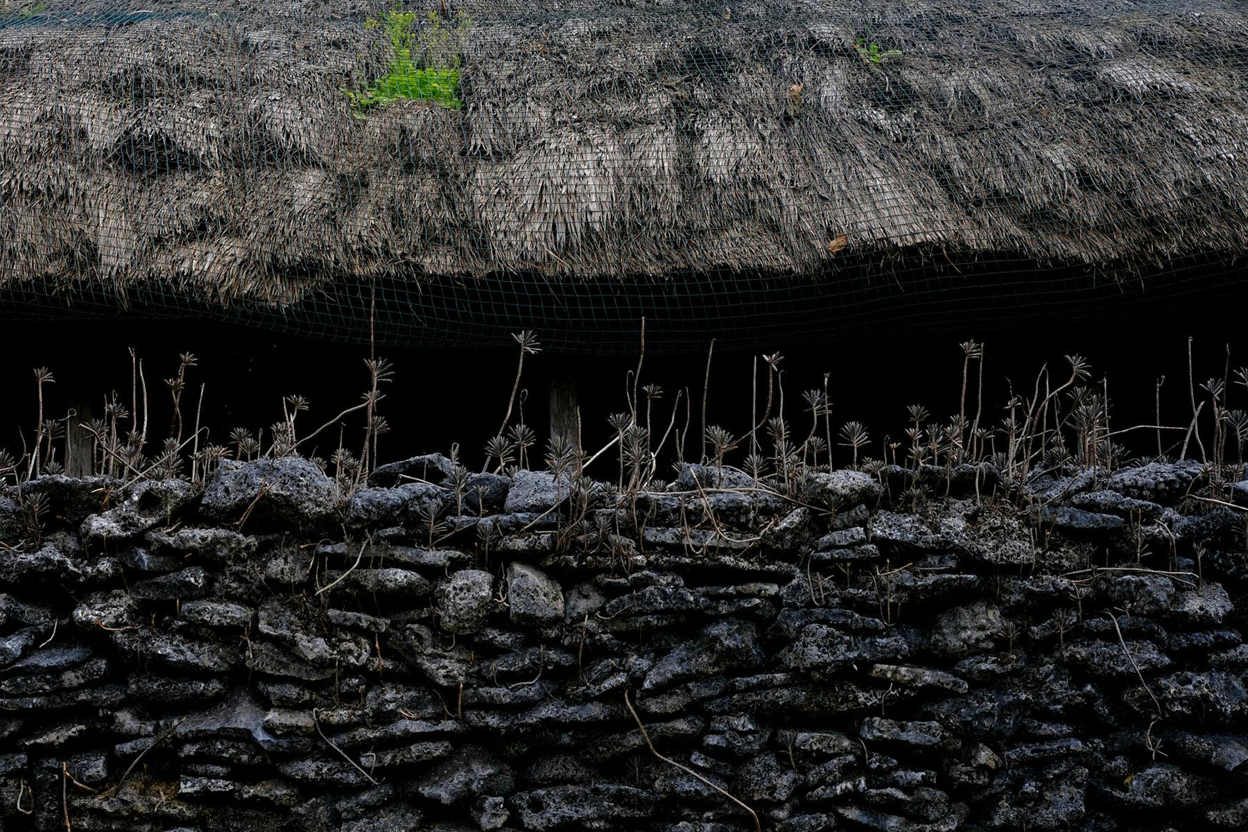 Indigenous architecture features, a wall made of coral which allows wind to pass through, on Iriomote Island, Okinawa | Photo by Kristen de La Valliere