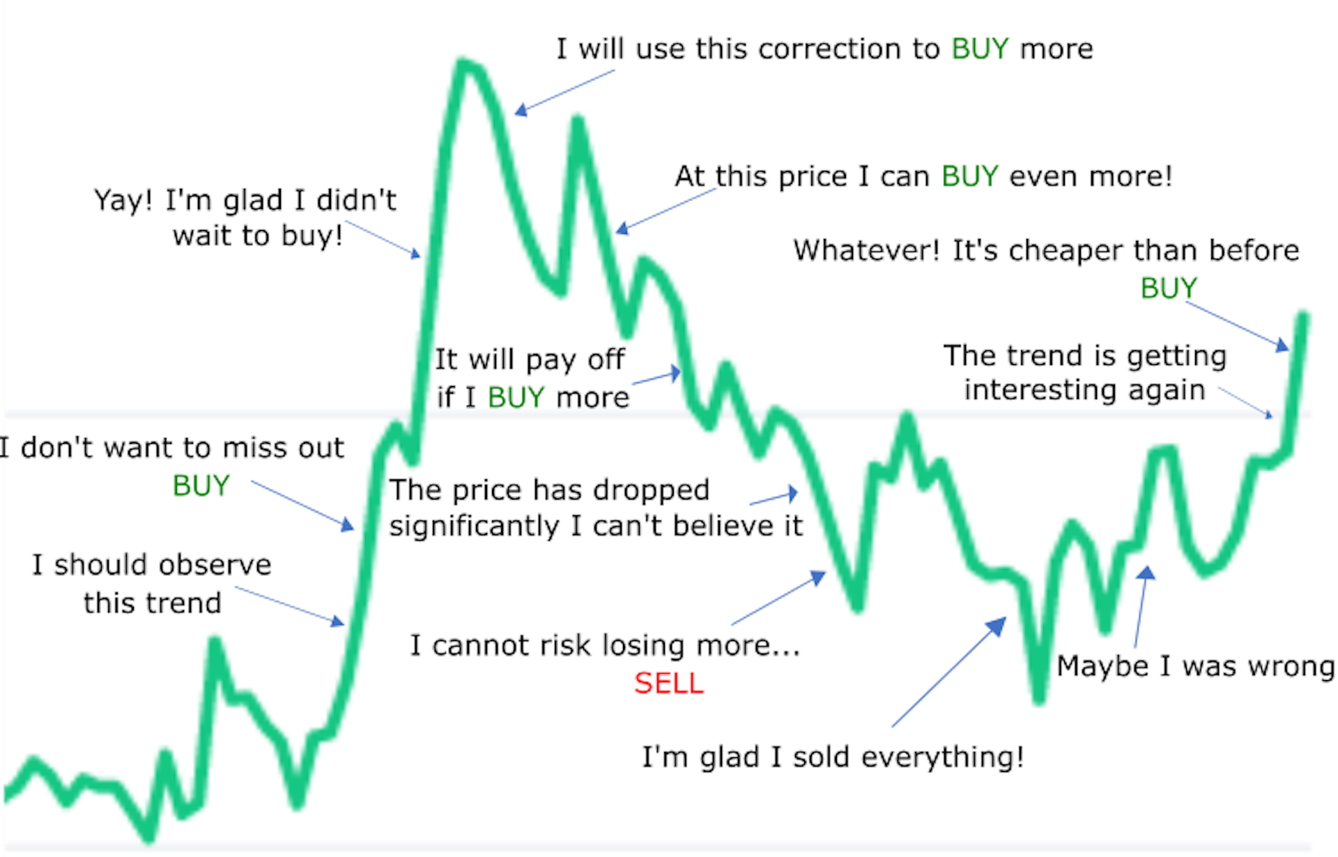 chsb_chart2