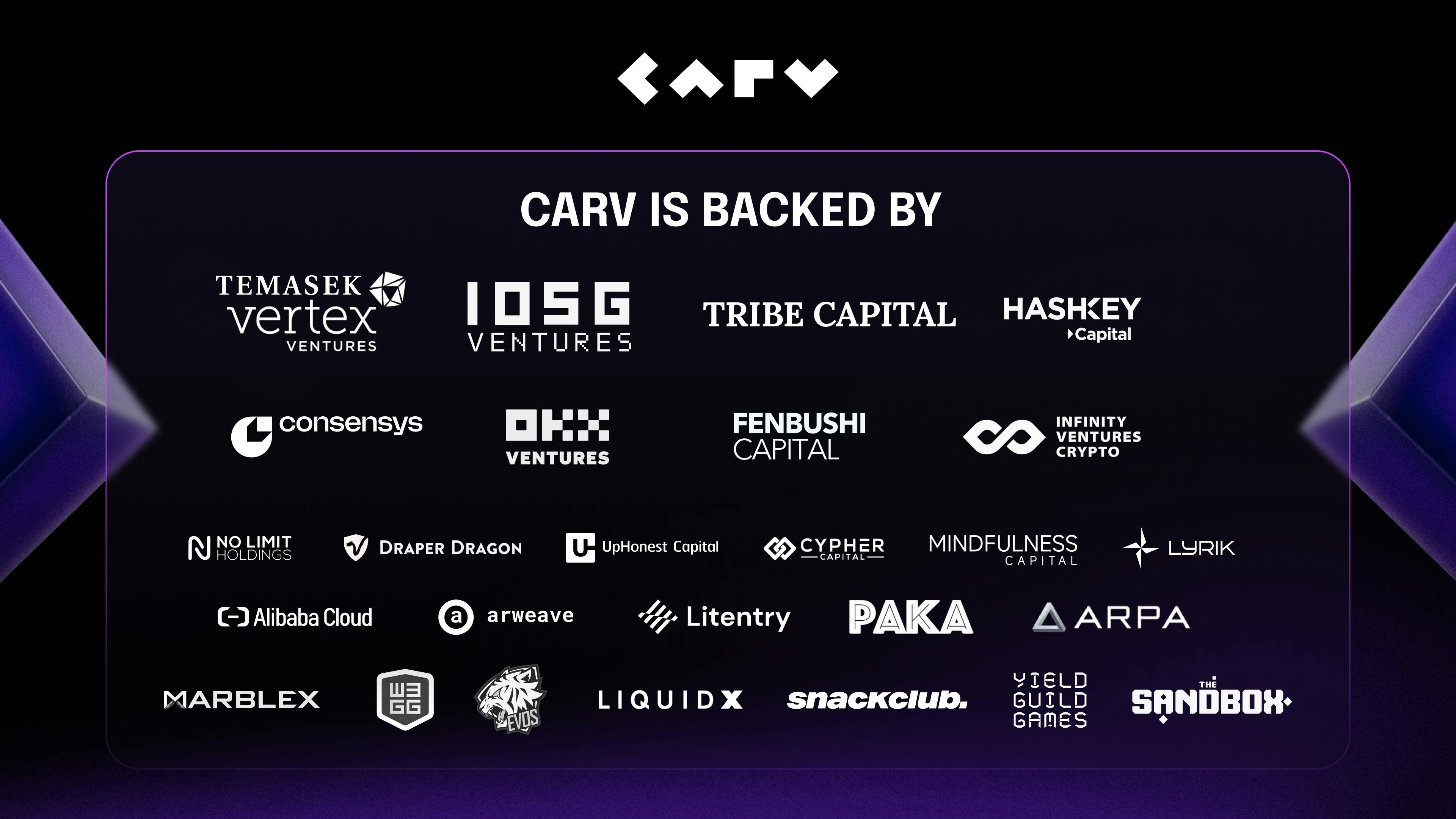 Carv investors and partners
