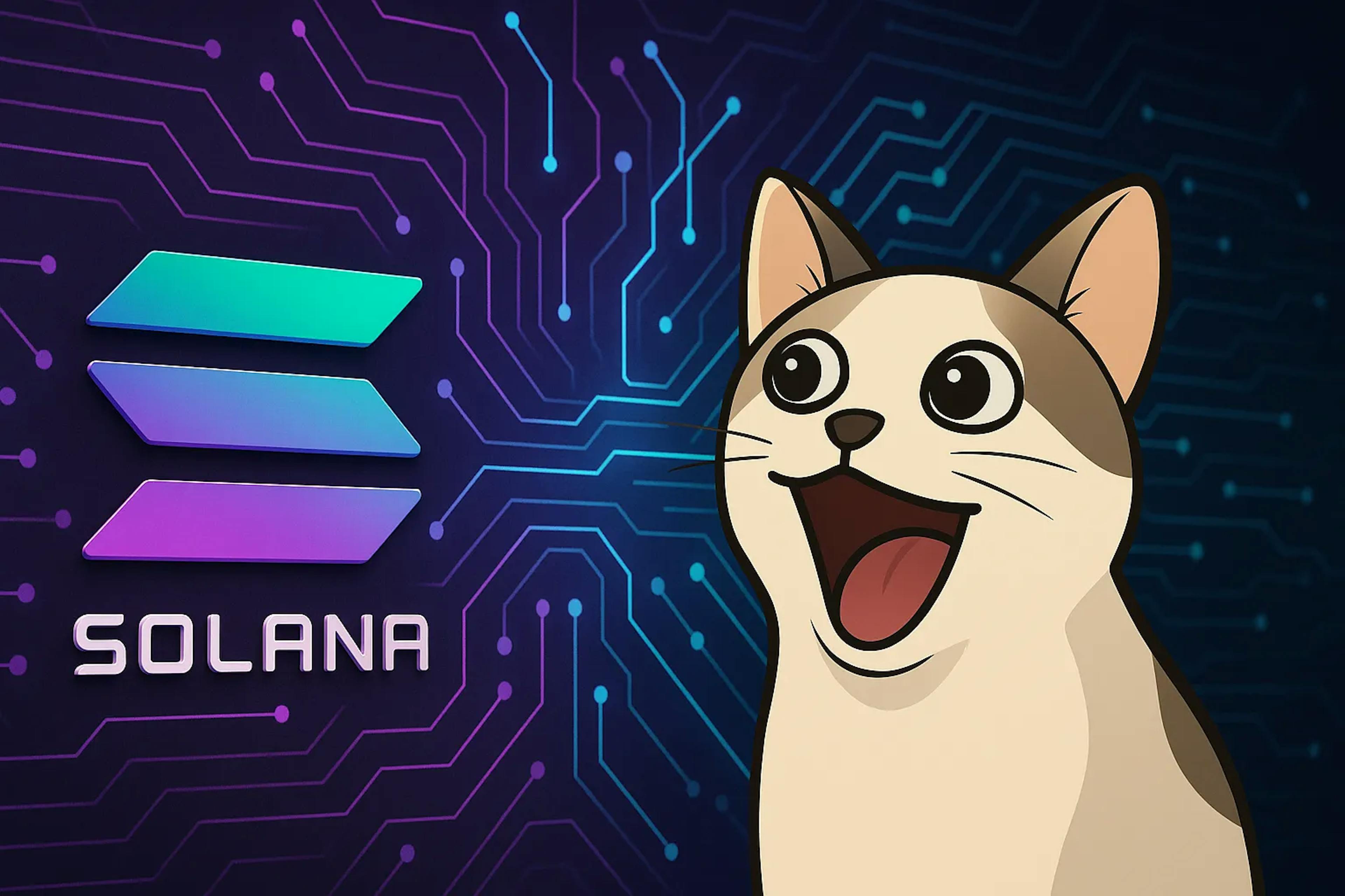 Popcat Solana meme coin