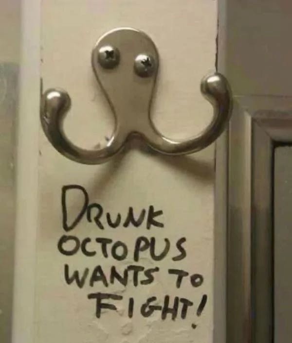 Octopus coat hanger