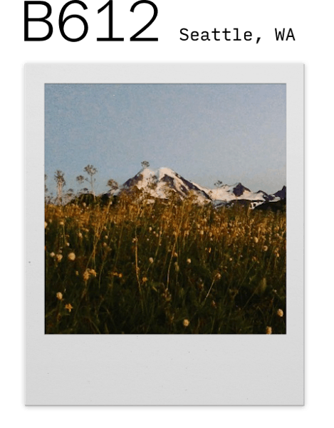 Polaroid photo of a grass field
