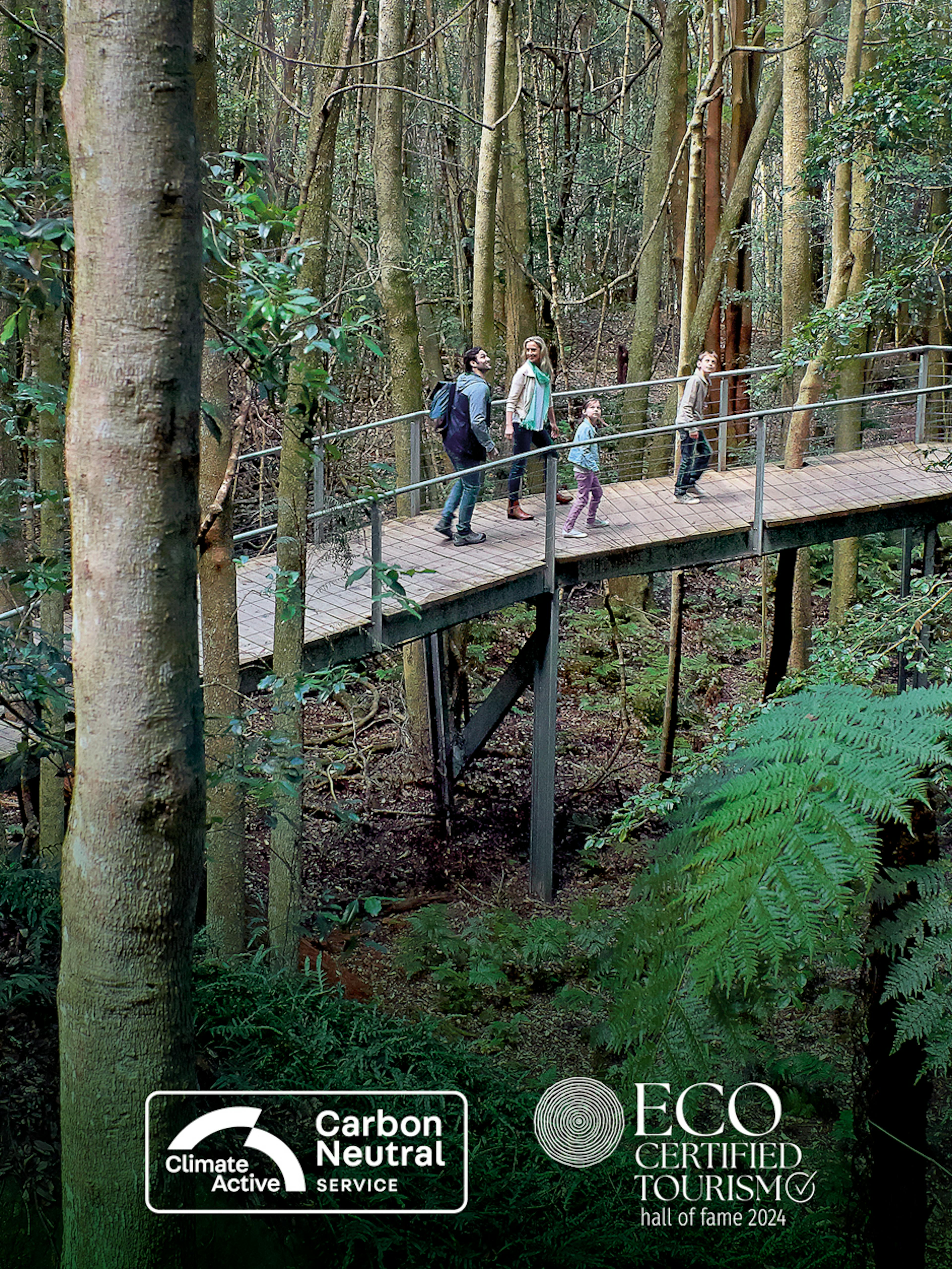 A couple walks along a raised wooden boardwalk through a dense, lush forest. The pathway winds among tall trees and vibrant green foliage. Eco and carbon neutral certification logos are visible at the bottom.