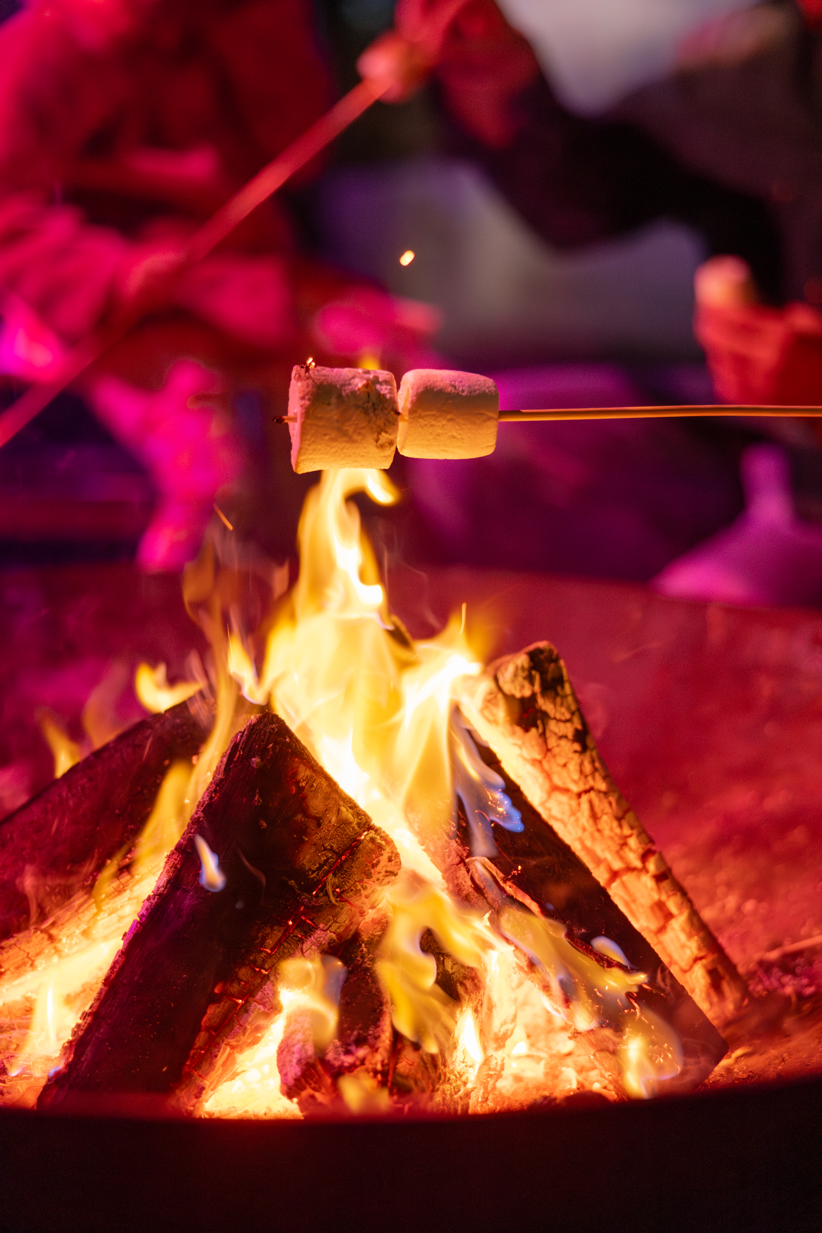 marshmallows being toasted over a fire