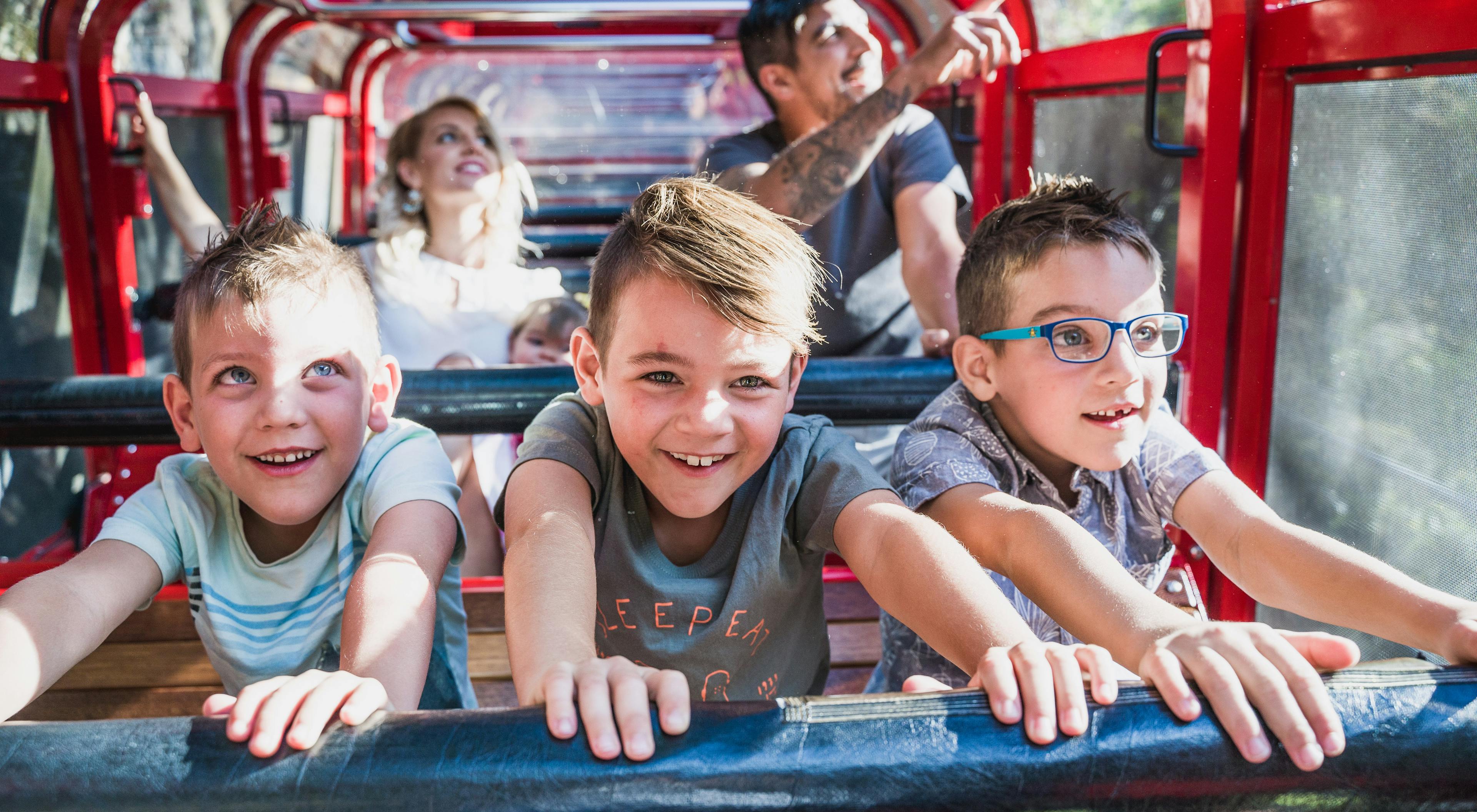 Three young boys and two adults enjoy a ride in a railway. The boys are smiling and leaning forward with excitement, with sunlight streaming through. The adults in the background also appear delighted, looking at the surroundings.