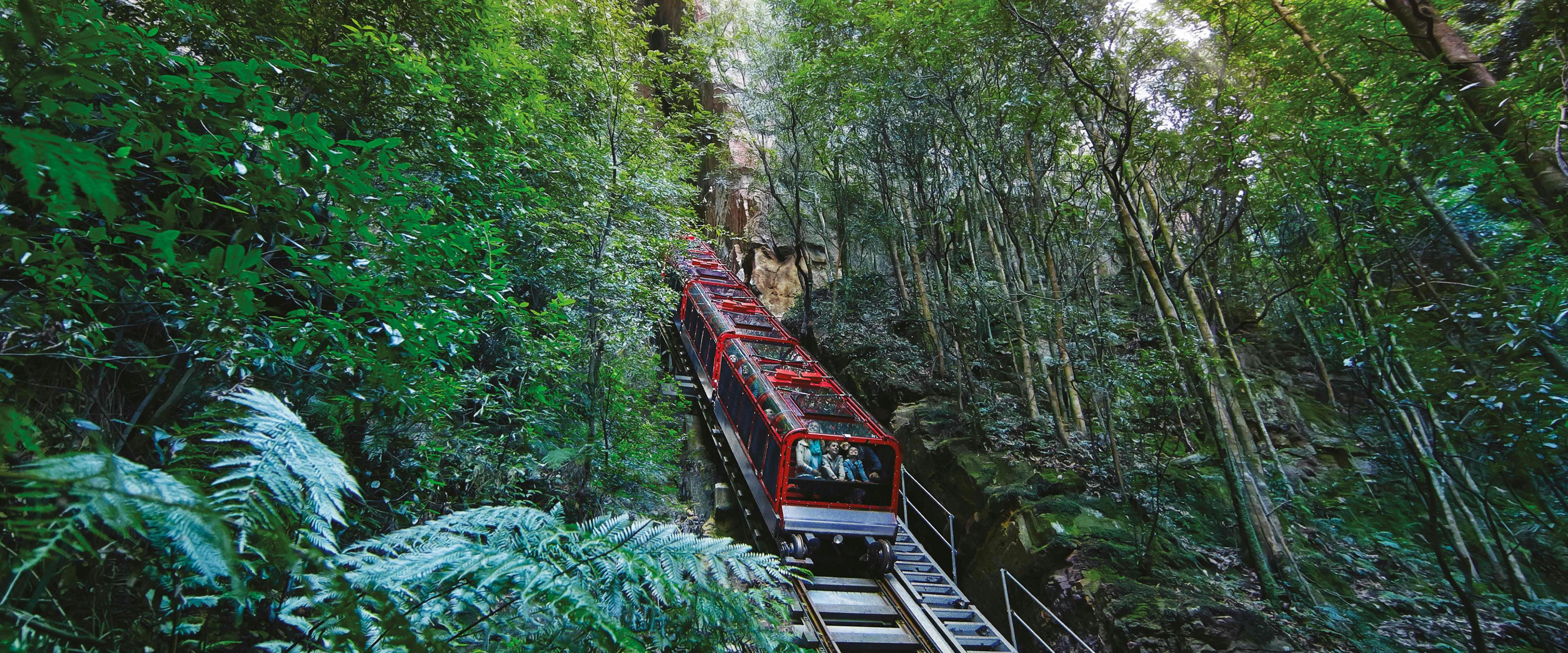 The red Scenic Railway train ascends a steep incline, surrounded by lush green forest and tall trees, with a rock cliff on the left. The vibrant greenery and natural setting create a scenic and tranquil atmosphere.