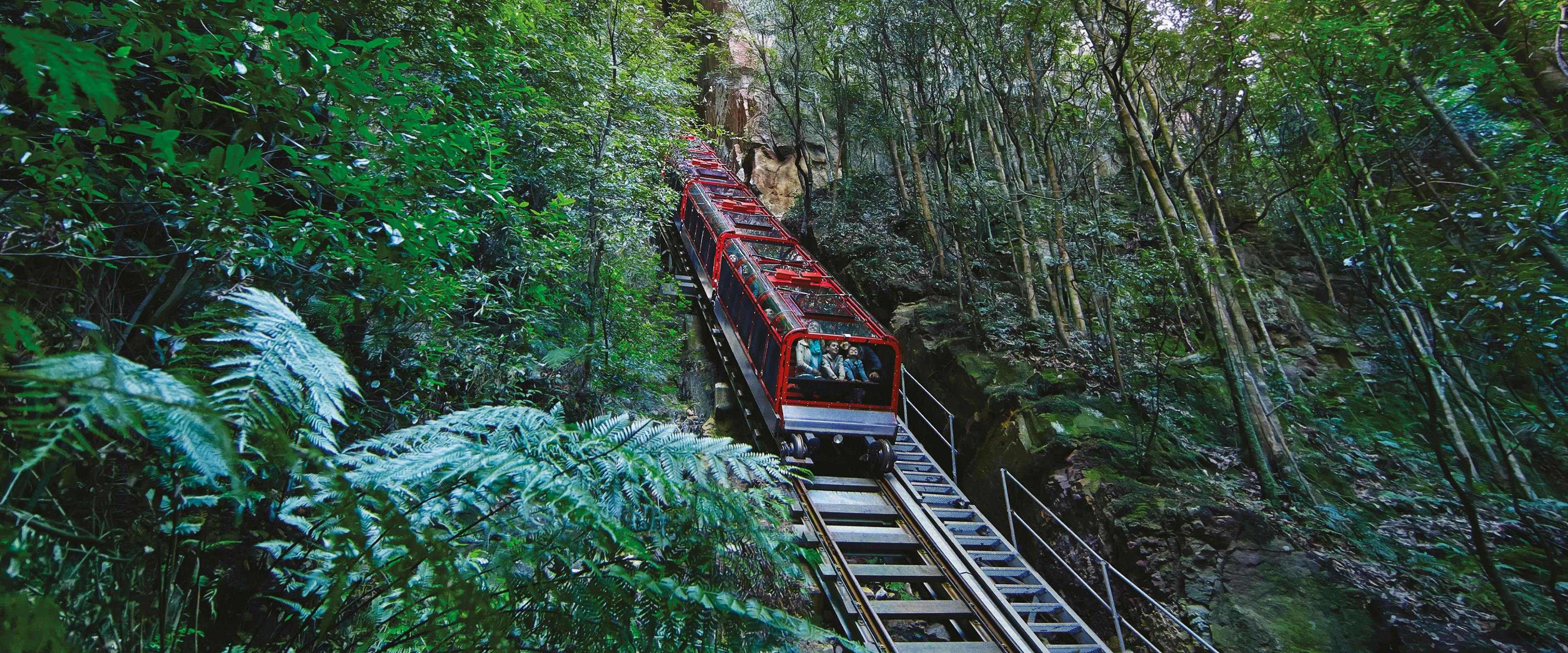 A red railway ascends a steep incline, surrounded by lush green forest and tall trees, with a rock cliff on the left. The vibrant greenery and natural setting create a scenic and tranquil atmosphere.