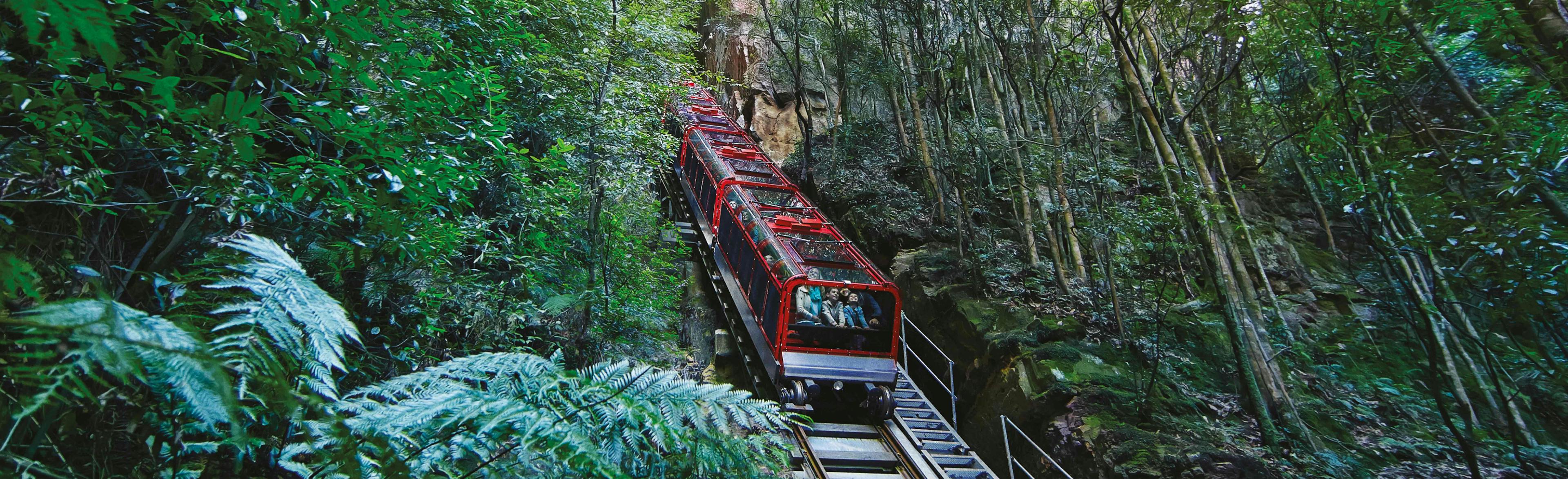 The red Scenic Railway train ascends a steep incline, surrounded by lush green forest and tall trees, with a rock cliff on the left. The vibrant greenery and natural setting create a scenic and tranquil atmosphere.