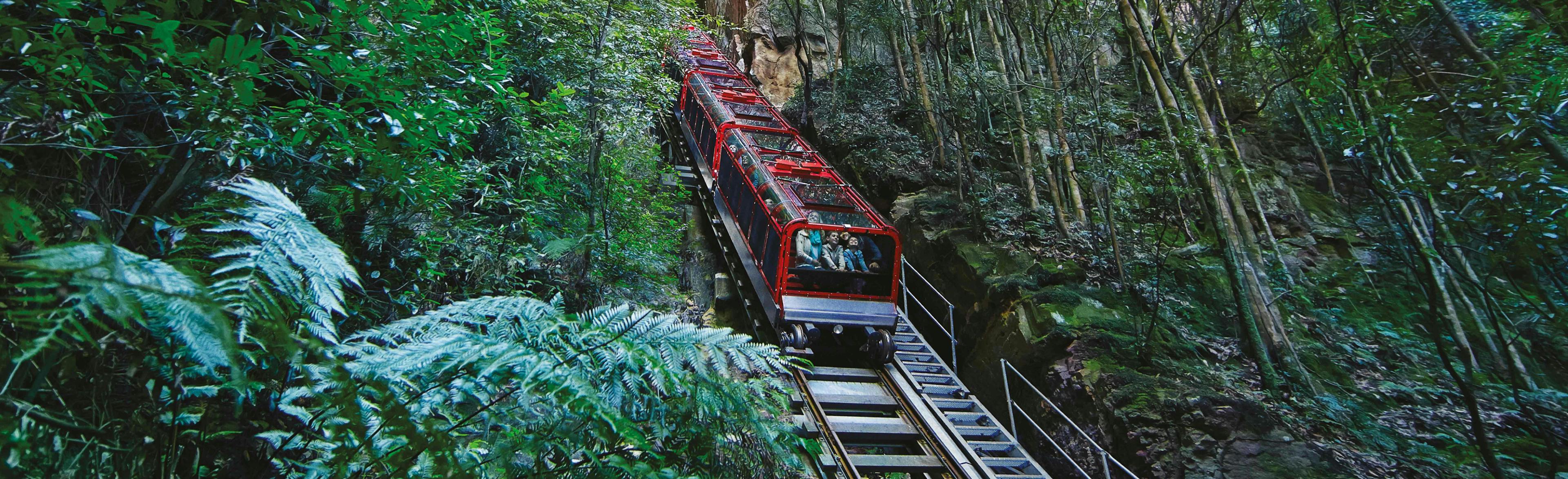 A red railway ascends a steep incline, surrounded by lush green forest and tall trees, with a rock cliff on the left. The vibrant greenery and natural setting create a scenic and tranquil atmosphere.