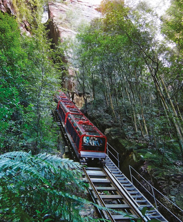 The red Scenic Railway train ascends a steep incline, surrounded by lush green forest and tall trees, with a rock cliff on the left. The vibrant greenery and natural setting create a scenic and tranquil atmosphere.