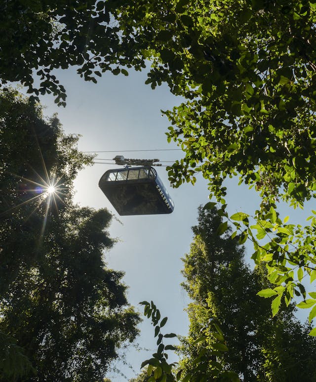 A cable car suspended over lush green trees, silhouetted against a bright sky with the sun peeking through the foliage, creating a scenic and serene view.