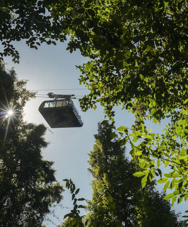 A cable car suspended over lush green trees, silhouetted against a bright sky with the sun peeking through the foliage, creating a scenic and serene view.