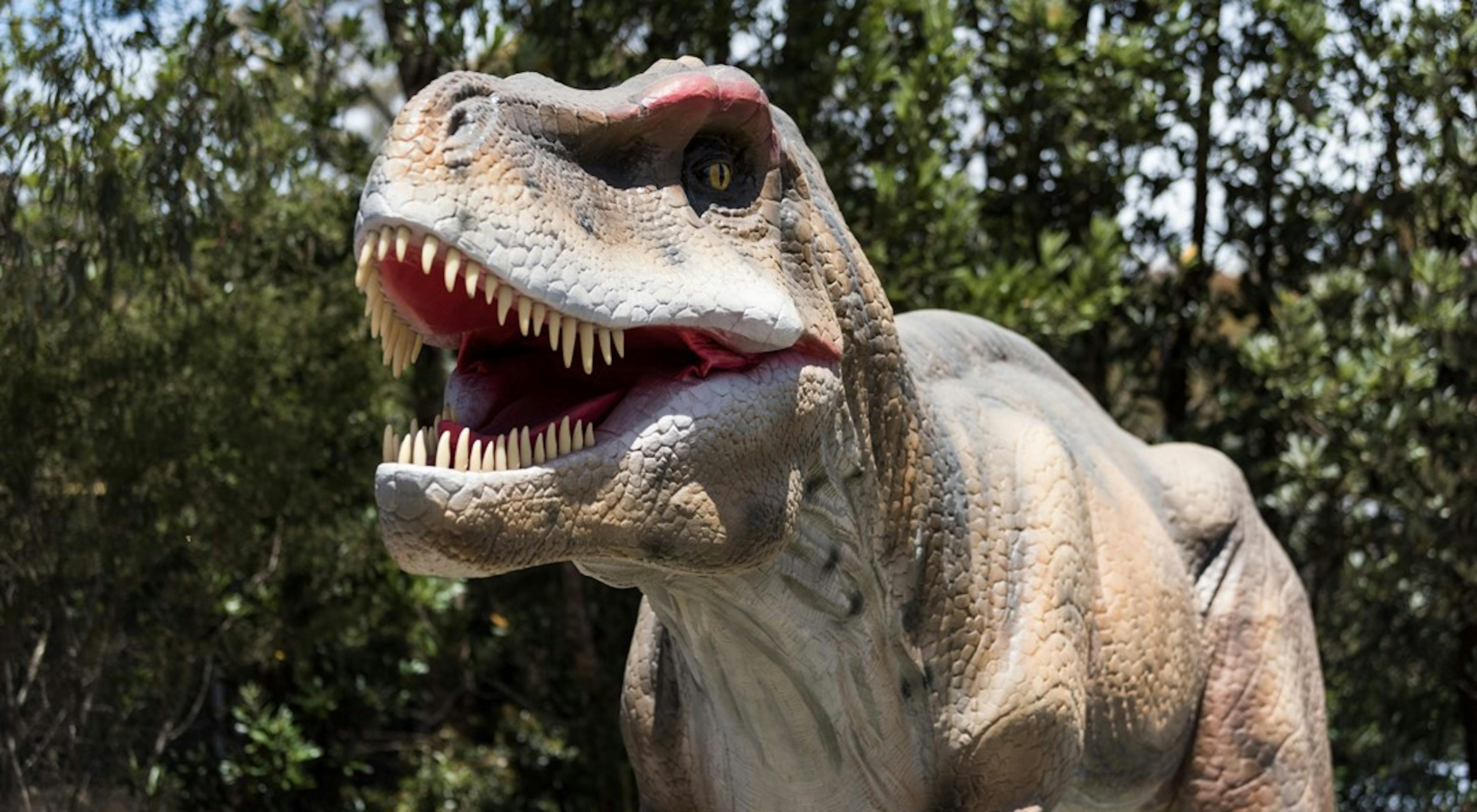 A lifelike model of a roaring Tyrannosaurus rex stands with its mouth open, displaying sharp teeth. The dinosaur is set in an outdoor scene with green foliage and trees in the background.