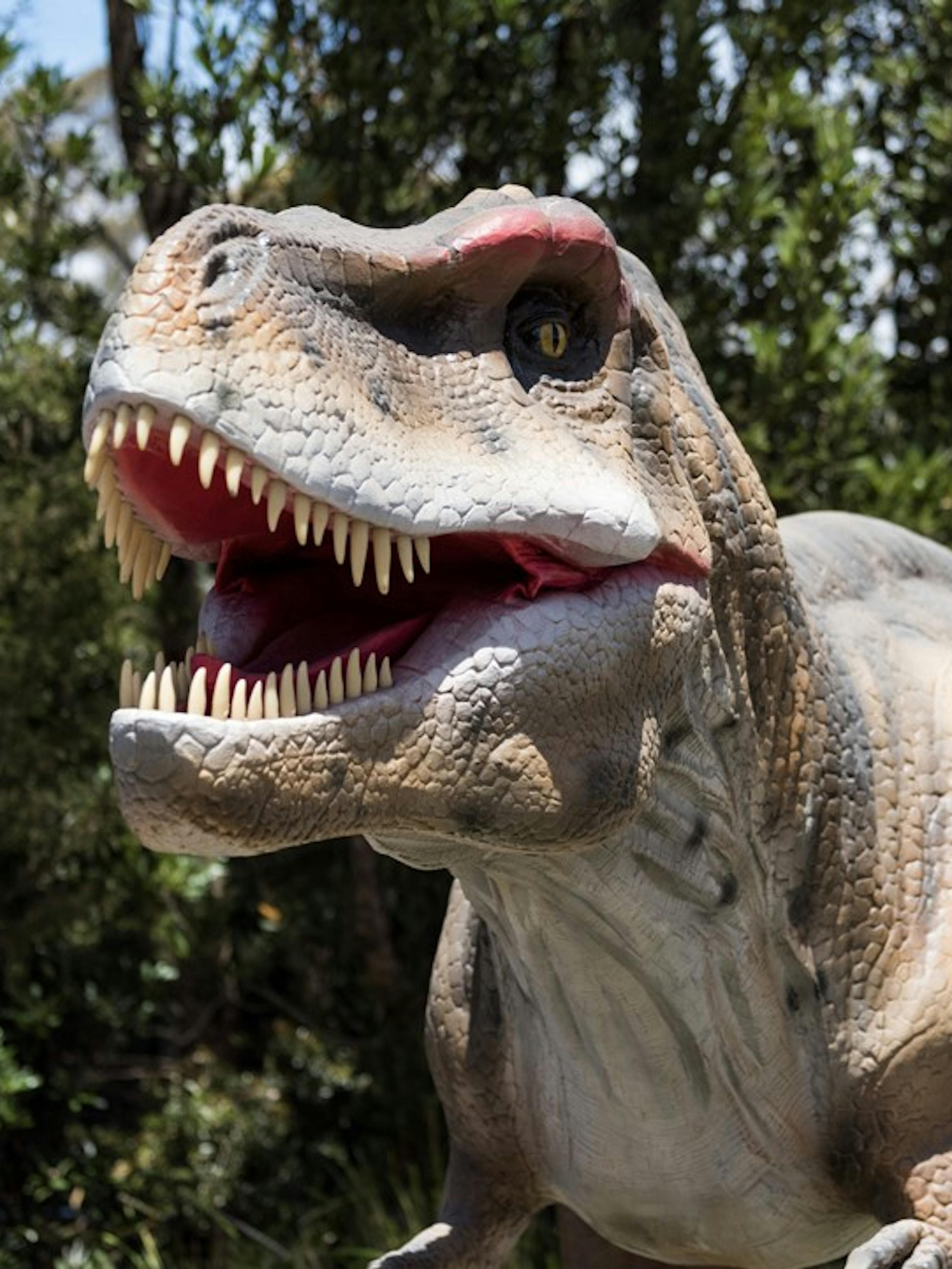 A life-size Tyrannosaurus rex stands with its mouth open, displaying sharp teeth. The dinosaur is set in an outdoor scene with green foliage and trees in the background.